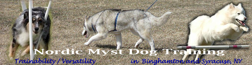 Nordic Myst Dog Training